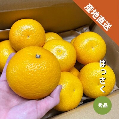 【秀品】はっさく 和歌山県より産地直送 約5kg