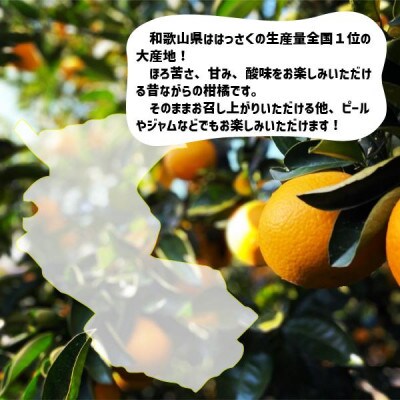 【秀品】はっさく 和歌山県より産地直送 約10kg
