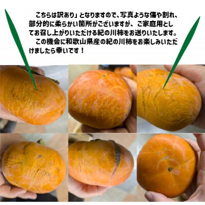 【訳あり】 紀の川柿 黒蜜のような濃厚な甘み 約5kg