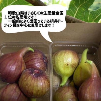 【秀品】いちじく 紀の川市産 2パック