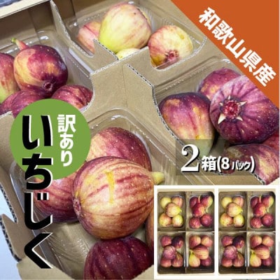 【訳あり】いちじく 紀の川市産 8パック