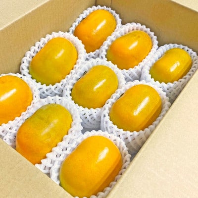 たねなし柿 秀品 【和歌山県産】約3kg 甘くとろける秋の味覚!