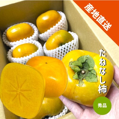 たねなし柿 秀品 【和歌山県産】約9kg 甘くとろける秋の味覚!