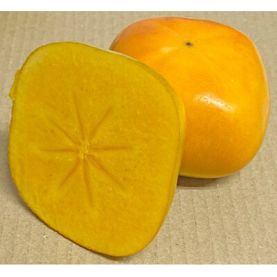 たねなし柿 秀品 【和歌山県産】約10kg 甘くとろける秋の味覚!