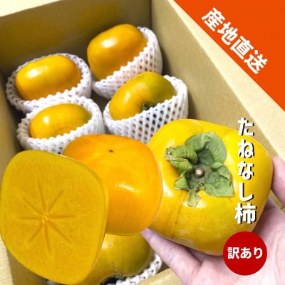 たねなし柿 (訳あり)【和歌山県産】約3kg 甘くとろける秋の味覚!