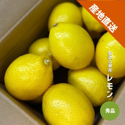 秀品 レモン黄色 約3kg