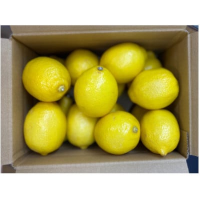 秀品 レモン黄色 約3kg