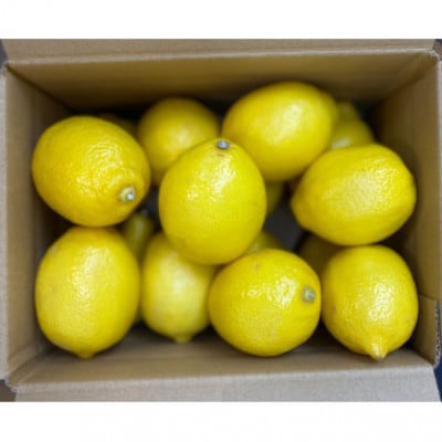 秀品 レモン黄色 約4kg