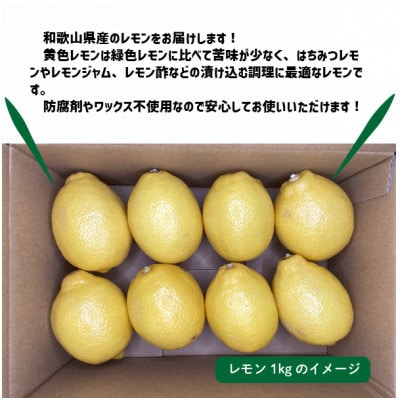 秀品 レモン黄色 約6kg