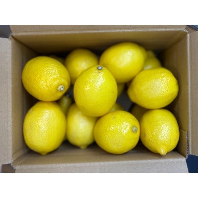 秀品 レモン黄色 約7kg