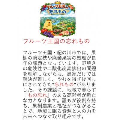 手作り果樹えんぴつ【柿】　～フルーツ王国の忘れ物シリーズ～