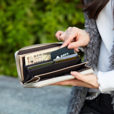 豊岡財布 anti-mode style Shimmer Chic RF Wallet AW900