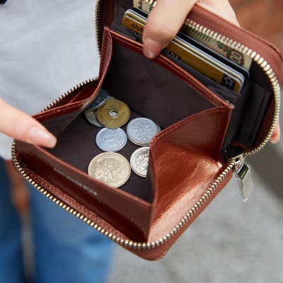 豊岡財布 anti-mode style Shimmer Chic Compact Wallet