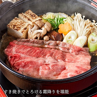 「但馬ビーフはまだ」極上但馬牛肩ロースすき焼き用【500g】
