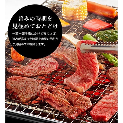 「但馬ビーフはまだ」極上但馬牛焼肉セット3種盛り(600g)