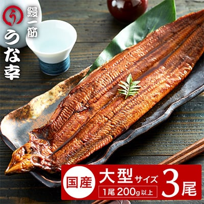 鰻一筋「うな幸」のふわとろ蒲焼き2本、白焼き1本【“国内外産”特大3本セット】たれ付き