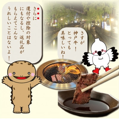 神戸ビーフ　焼肉用(かた・もも)600g　TYY2