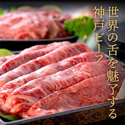 神戸ビーフ　うす切り・切り落とし肉セット　合計1100g　TYS3