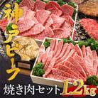 神戸ビーフ　焼肉用セット　かたロース600g・かたもも600g　合計1200g　TYYS5