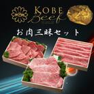 神戸ビーフ　お肉三昧セット　ステーキ・しゃぶしゃぶ・すき焼き用・焼肉用　合計1600g　TYLS10