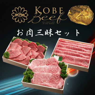 神戸ビーフ　お肉三昧セット　ステーキ・しゃぶしゃぶ・すき焼き用・焼肉用　合計1600g　TYLS10