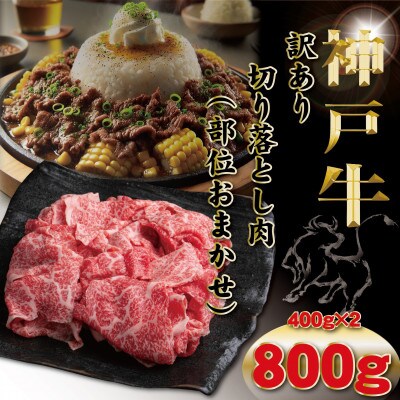 訳あり 神戸牛(神戸ビーフ) 切り落とし肉 計800g TYS1-2 【2026年4月より順次発送】