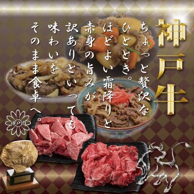訳あり 神戸牛(神戸ビーフ) 切り落とし肉 計800g TYS1-2 【2026年4月より順次発送】