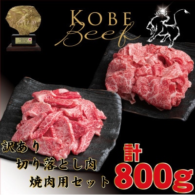 神戸牛 訳あり おまかせ 切り落とし肉&焼肉用 計800g TYSY2