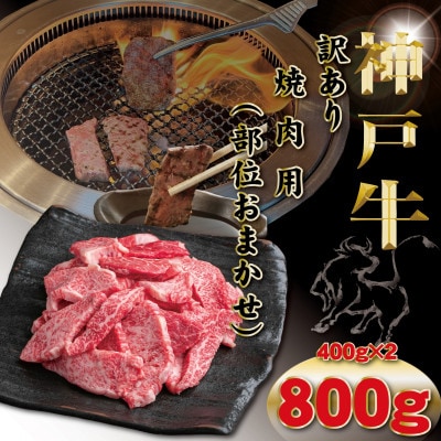 神戸牛 訳あり おまかせ 焼肉用 計800g TYY1-2【2026年4月より順次発送】