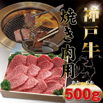 神戸牛(神戸ビーフ) 焼き肉用 500g TYY2 【2026年4月より順次発送】