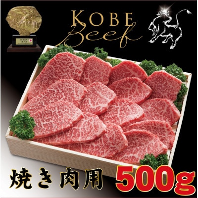 神戸牛(神戸ビーフ) 焼き肉用 500g TYY2