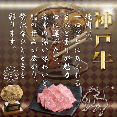 神戸牛焼き肉用セット計900g TYY3 【2026年4月より順次発送】