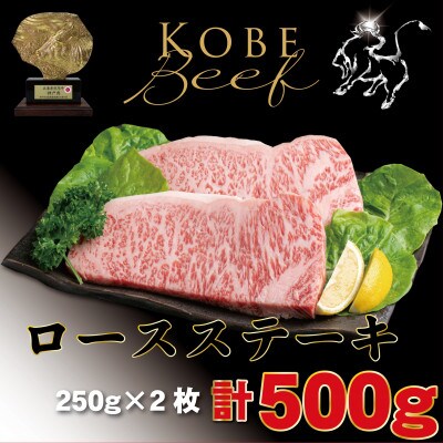神戸牛(神戸ビーフ) サーロインステーキ 計500g TYST5