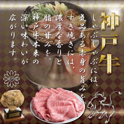 神戸牛(神戸ビーフ)しゃぶしゃぶ・すき焼き用セット計1Kg TYSS5【2026年4月より順次発送】