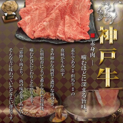 訳あり 赤身&サーロイン 食べ比べ しゃぶしゃぶすき焼き用 400g TYSS4