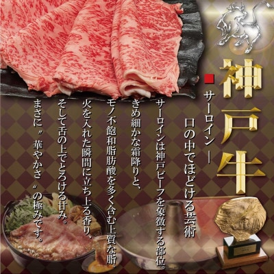 訳あり 赤身&サーロイン 食べ比べ しゃぶしゃぶすき焼き用 1Kg TYSS10