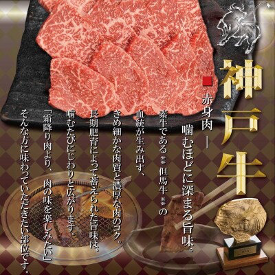 訳あり 赤身&サーロイン 食べ比べ 焼肉用 800g TYYS8
