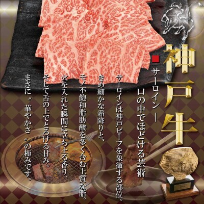訳あり 赤身&サーロイン 食べ比べ 焼肉用 1Kg TYYS10