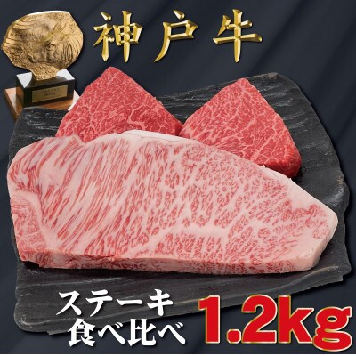 神戸牛 サーロイン&赤身 ステーキ食べ比べ 計1.2kg TYST12