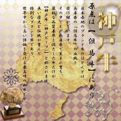 神戸牛 サーロイン&赤身 ステーキ食べ比べ 計1.2kg TYST12