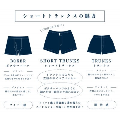ショートトランクス(フラワーブルー&パープルチェック・XL各1枚) ZIVANE メンズ下着