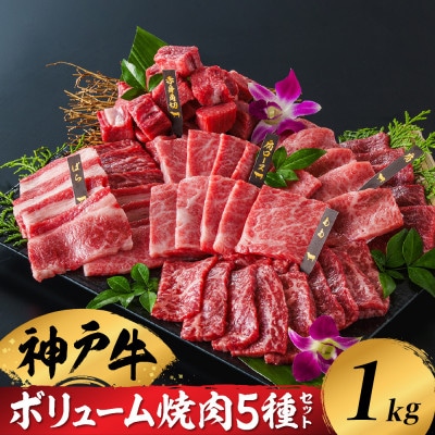 12/21入金分まで年内発送!★年内限定増量中★ボリューム焼肉5種セット