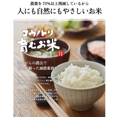 コウノトリ育むお米 〔節減対象農薬:当地比7.5割減〕パックライス 計200g×24食