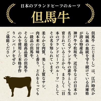 ハンバーグ A5ランク但馬牛100%使用 大きめ150g 3個 冷凍 温めるだけ