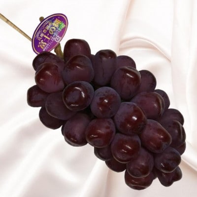 富士の輝き　1房600g以上