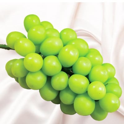 【2026年先行予約】シャインマスカット　約2kg　秀品