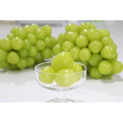 【2026年先行予約】シャインマスカット　約2kg　秀品