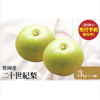 【2026年先行予約】二十世紀梨「豊岡なし」　3kg(7～9個)