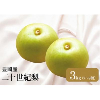 二十世紀梨「豊岡なし」　3kg(7～9個)