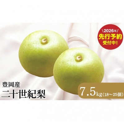 【2026年先行予約】二十世紀梨「豊岡なし」7.5kg(18～25個)